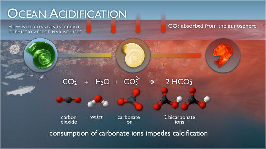 Increasing Ocean Acidification